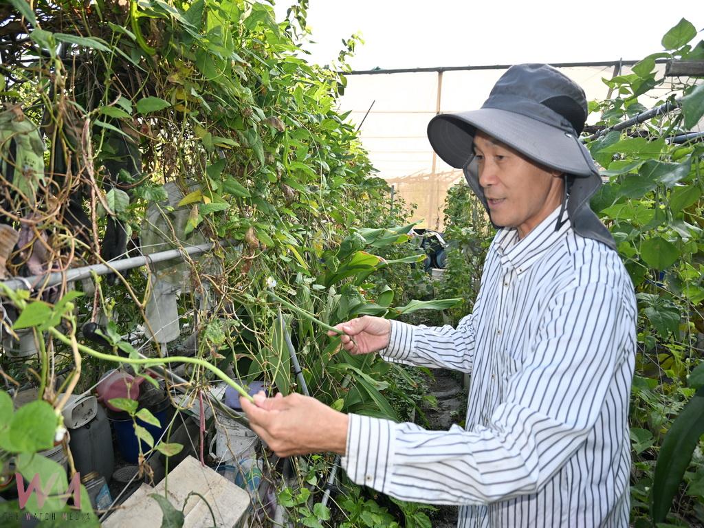 從教壇到菜園 鄭錫禧用十年打造開心農場退休生活更豐盛 - https://www.watchmedia01.com