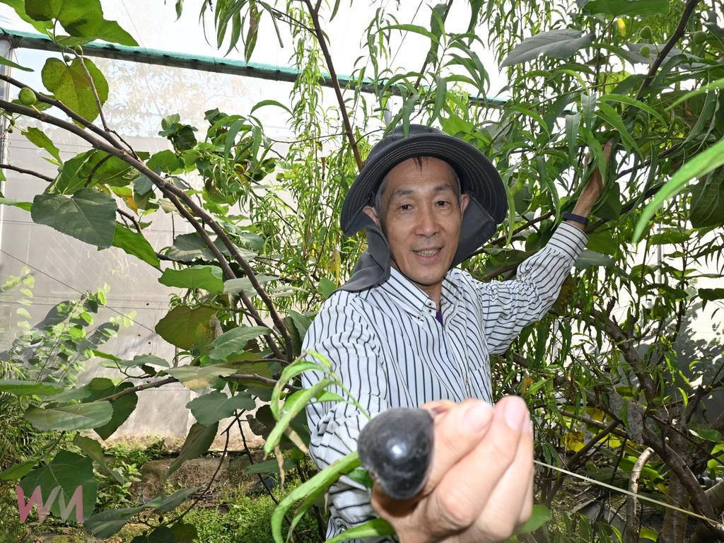 從教壇到菜園 鄭錫禧用十年打造開心農場退休生活更豐盛 - https://www.watchmedia01.com