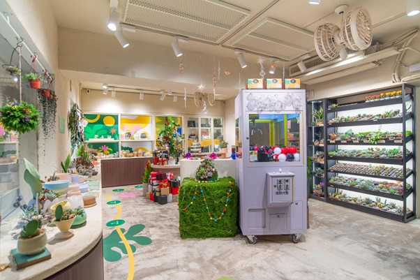 有肉 SUCCULAND 店內換上週年慶主題店裝用繽紛綠意歡慶拾歲 - 報新聞 Mega News