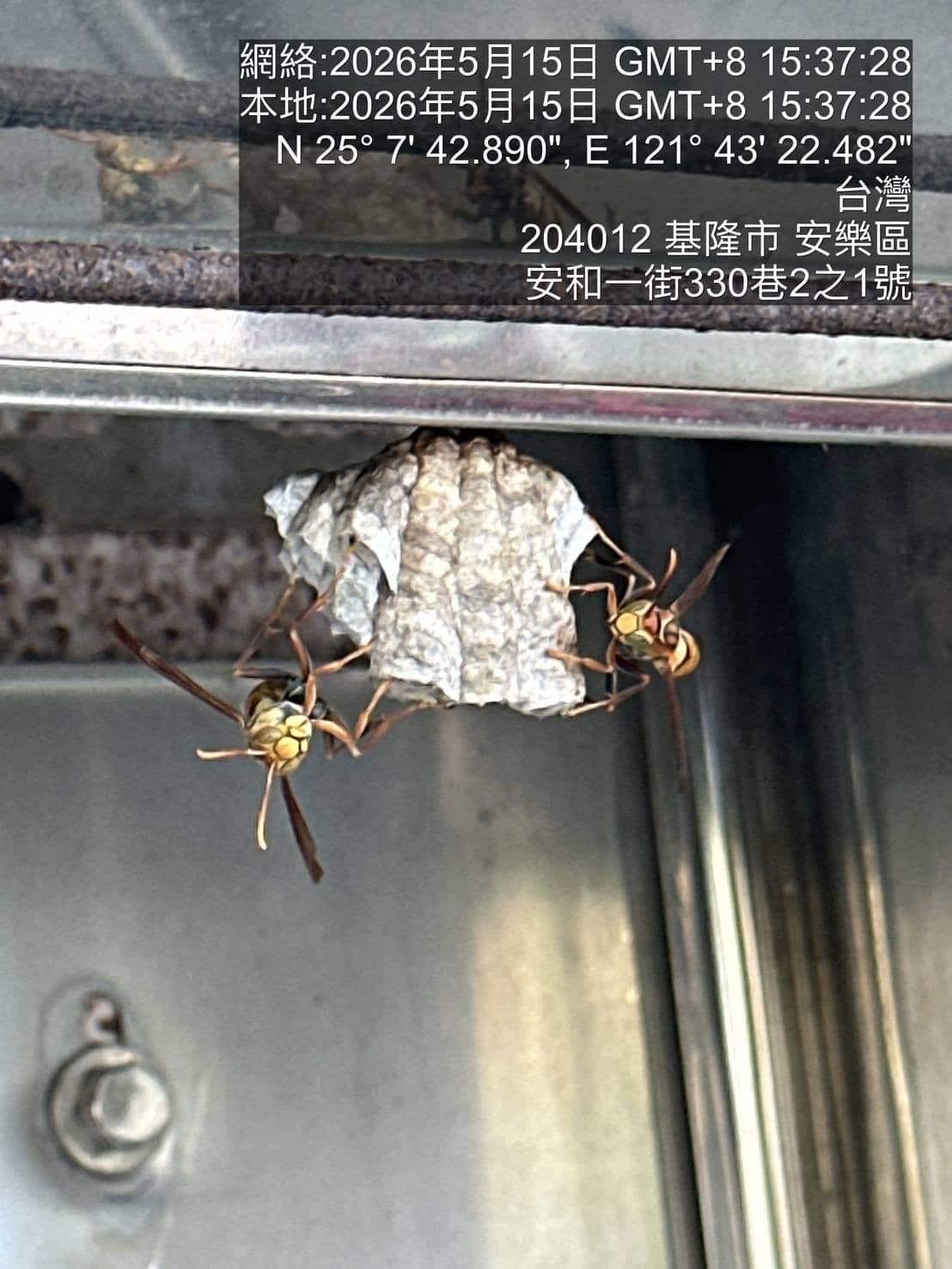 News