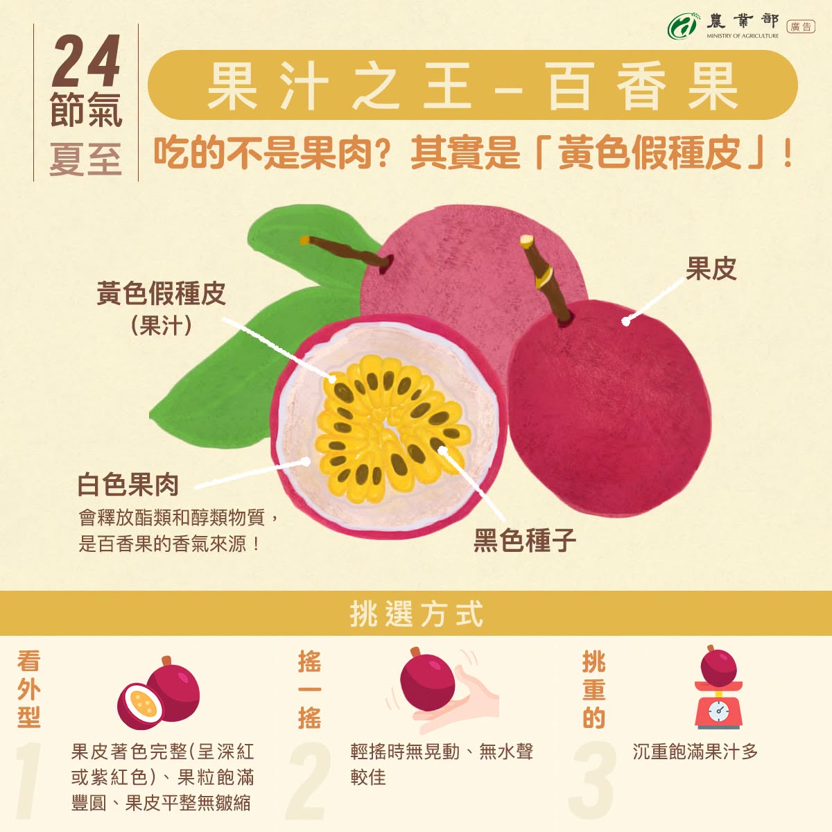 【有片】又是毒駕!八德小貨車馬路直直撞 2小客車等紅燈遭殃 727243691 1314474800751193 5115583920710450768 n 1